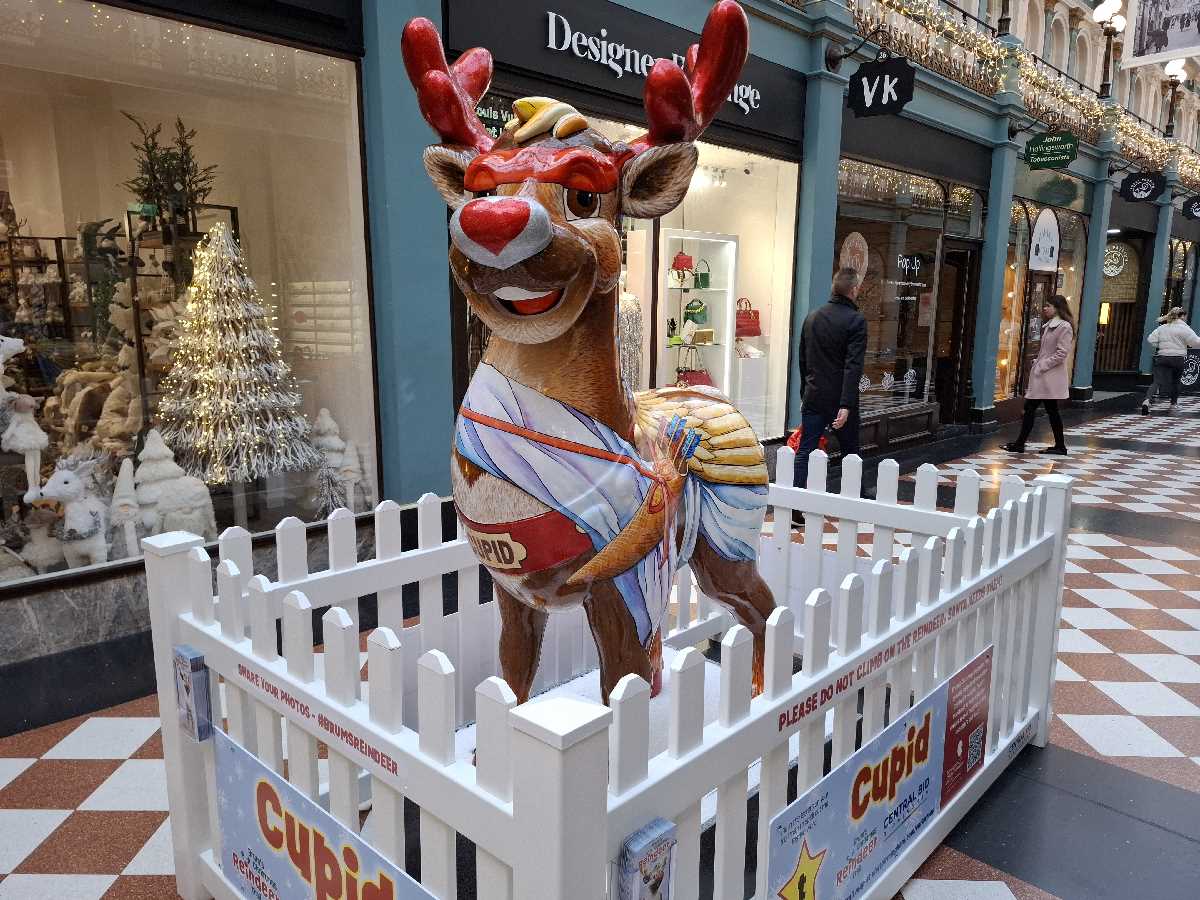 Brum's Reindeer