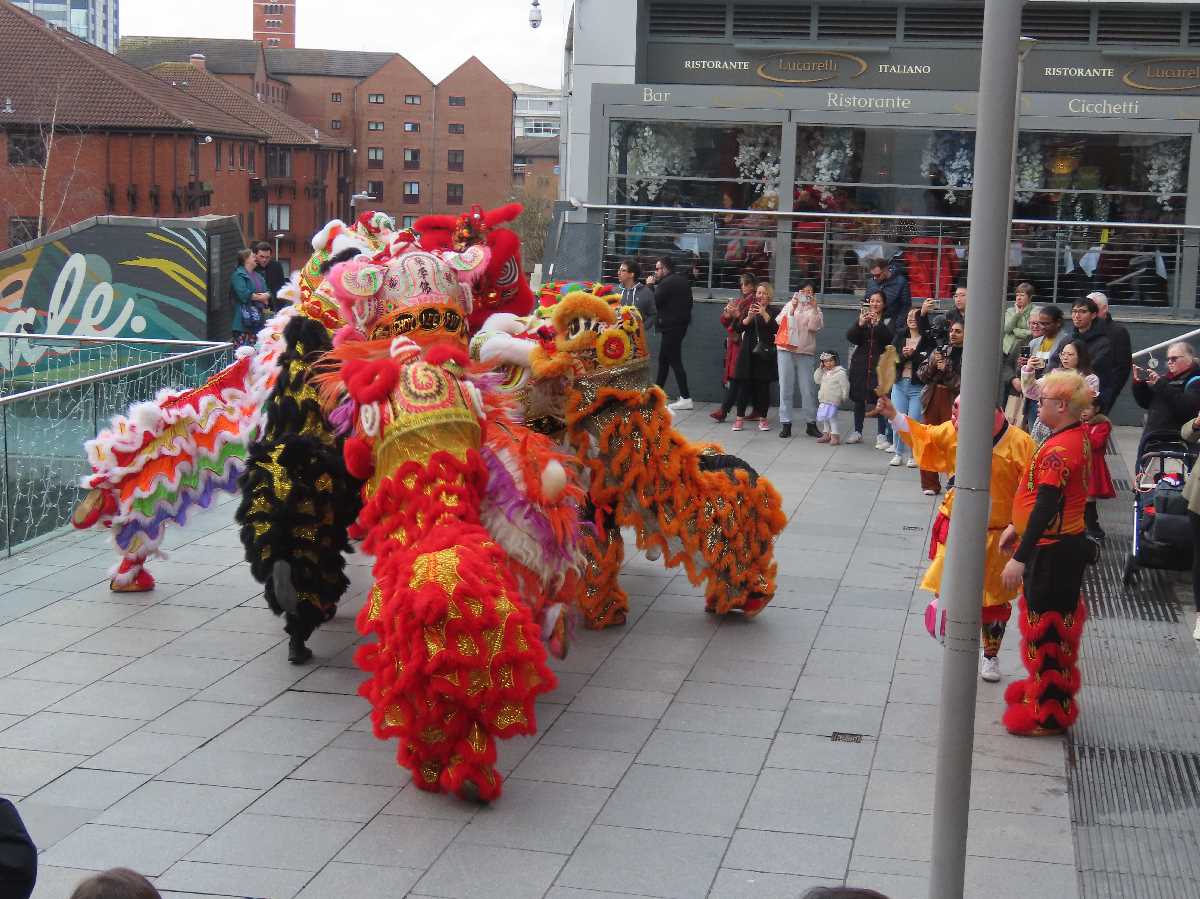 Chinese lion dragon