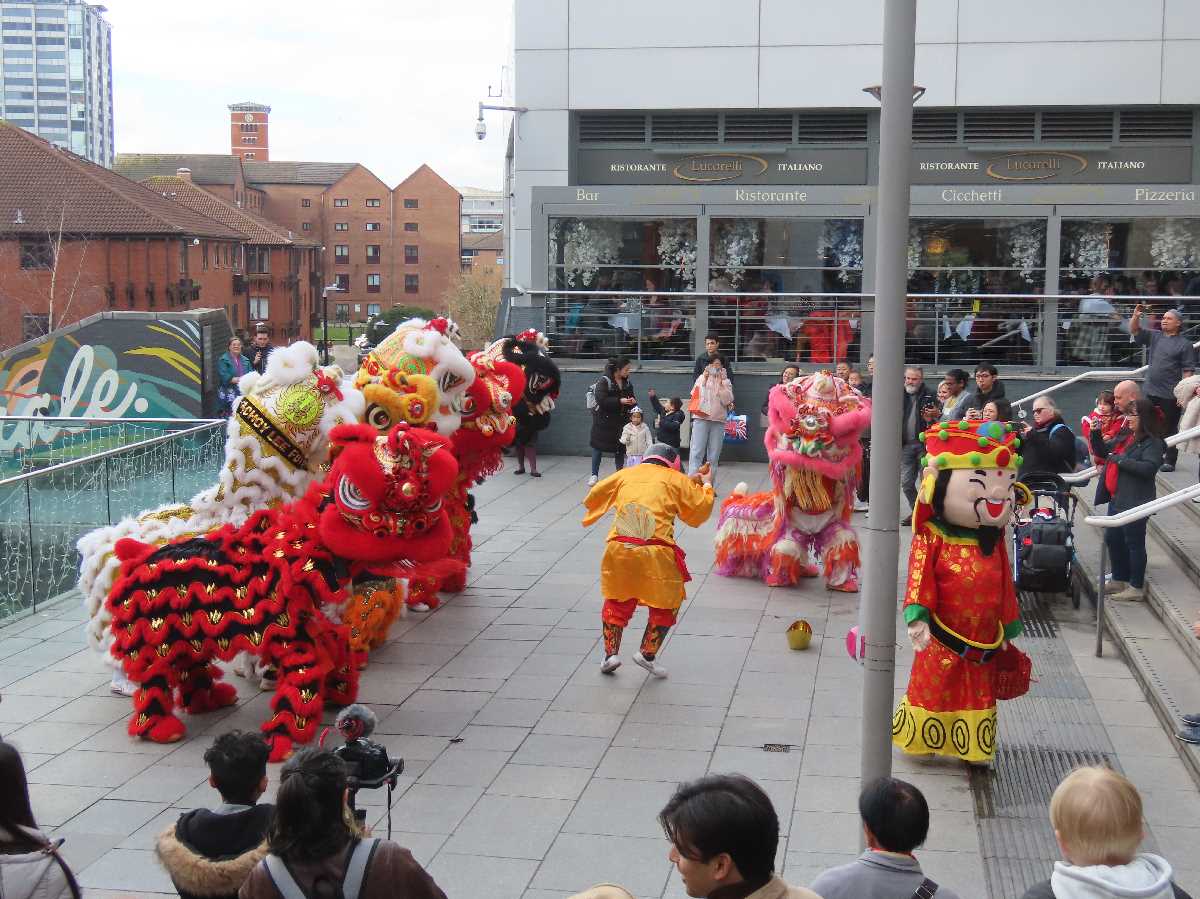 Chinese lion dragon