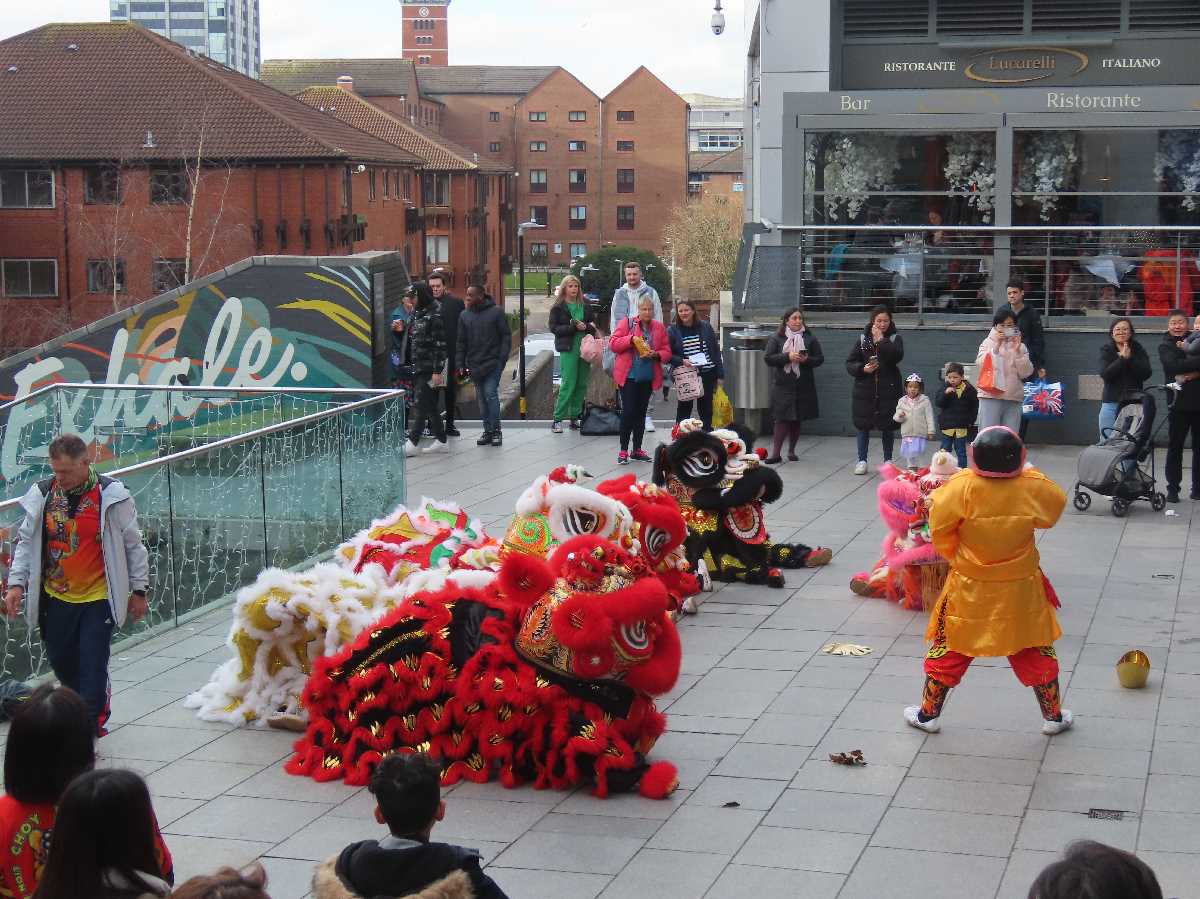 Chinese lion dragon