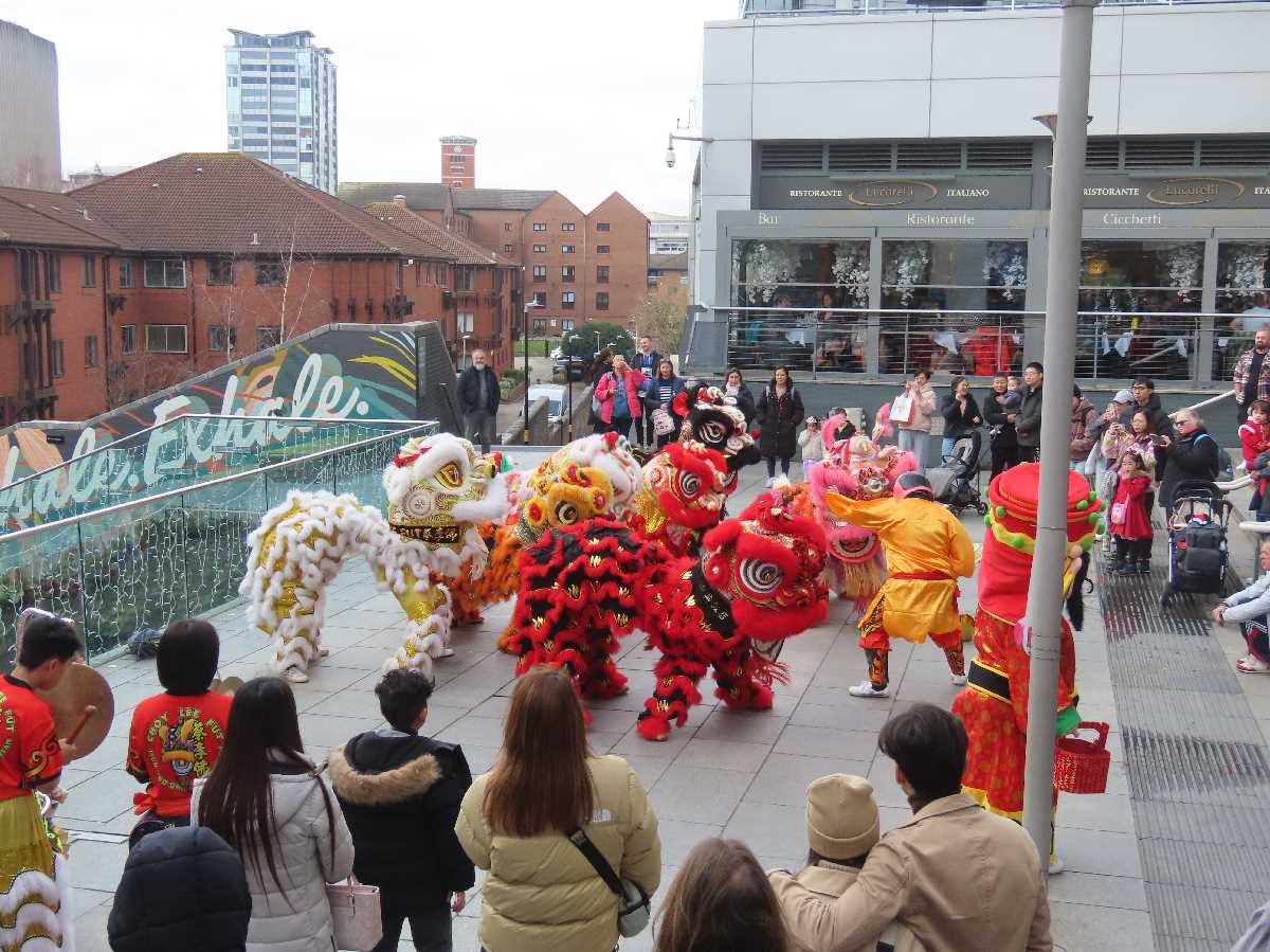 Chinese lion dragon