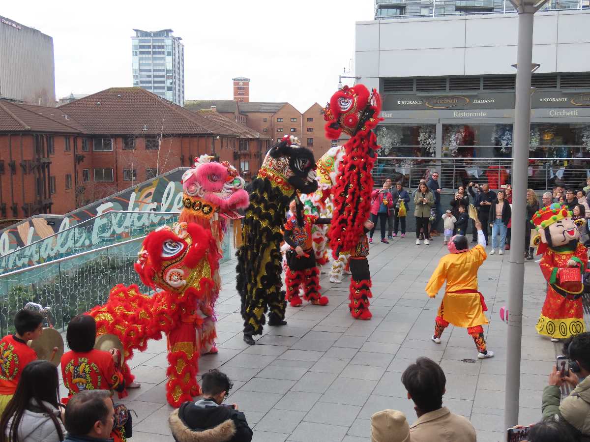 Chinese lion dragon