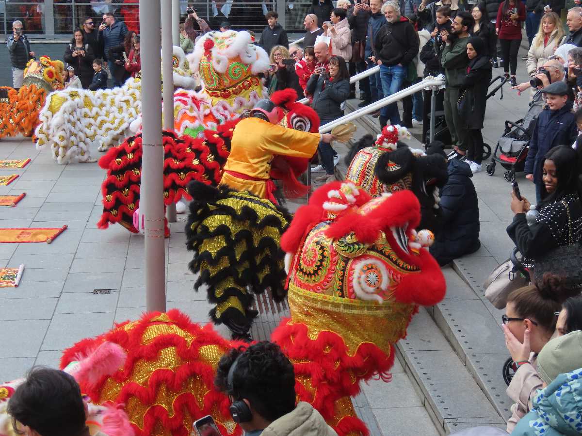 Chinese lion dragon