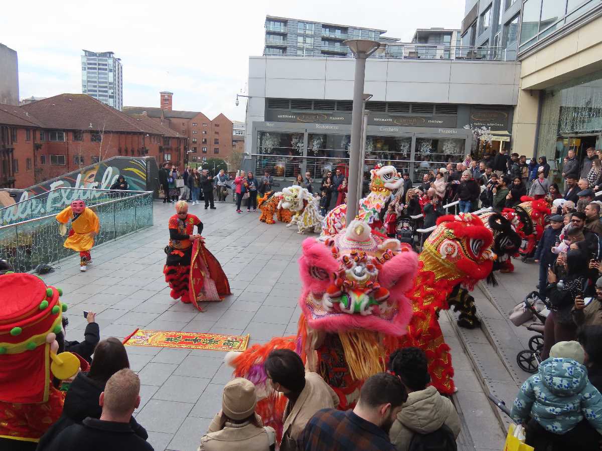 Chinese lion dragon